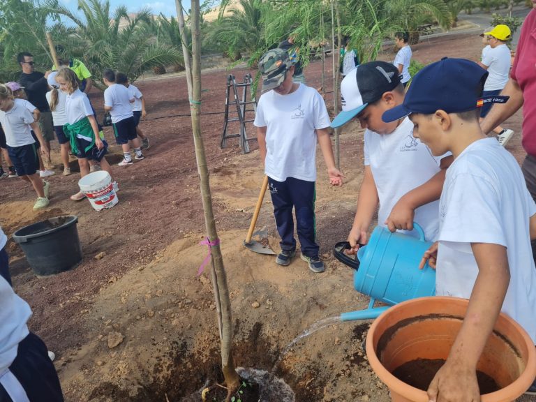 301cbbd7-7e67-45ec-844a-455028ed51bd