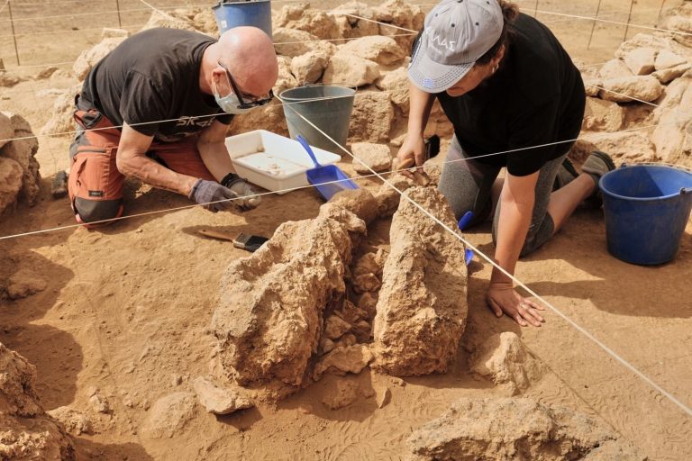 yacimiento-Tiagua-251