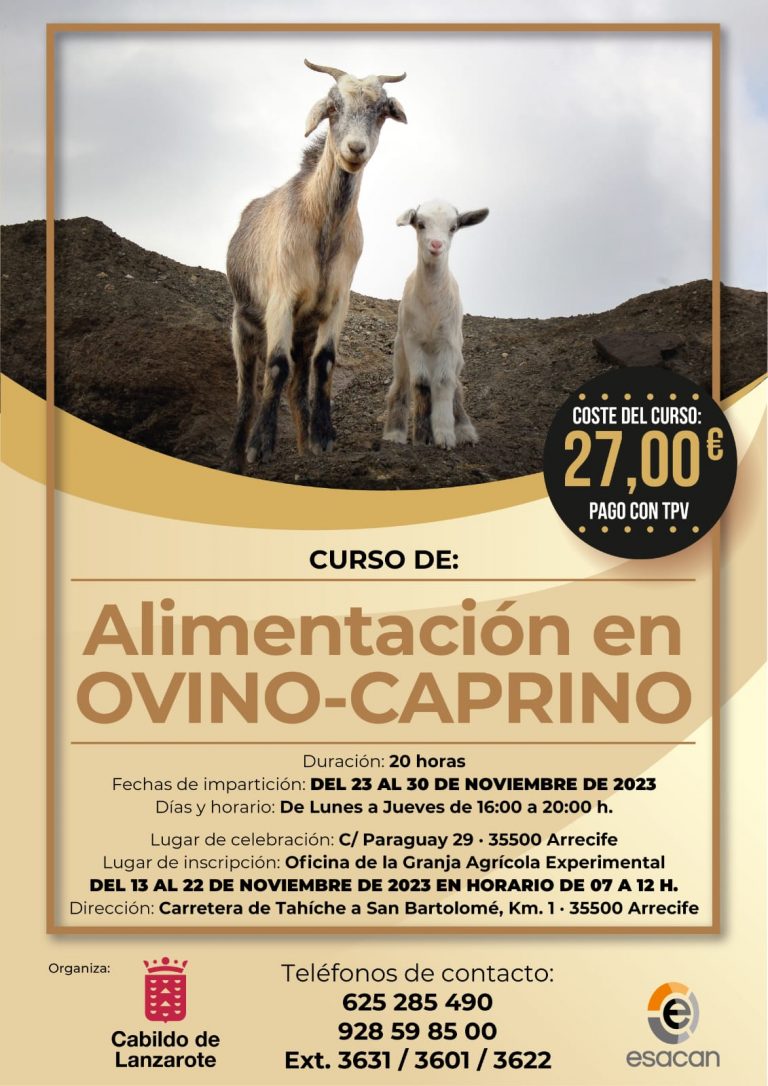 CURSO-ALIMENTACION-CABILDO