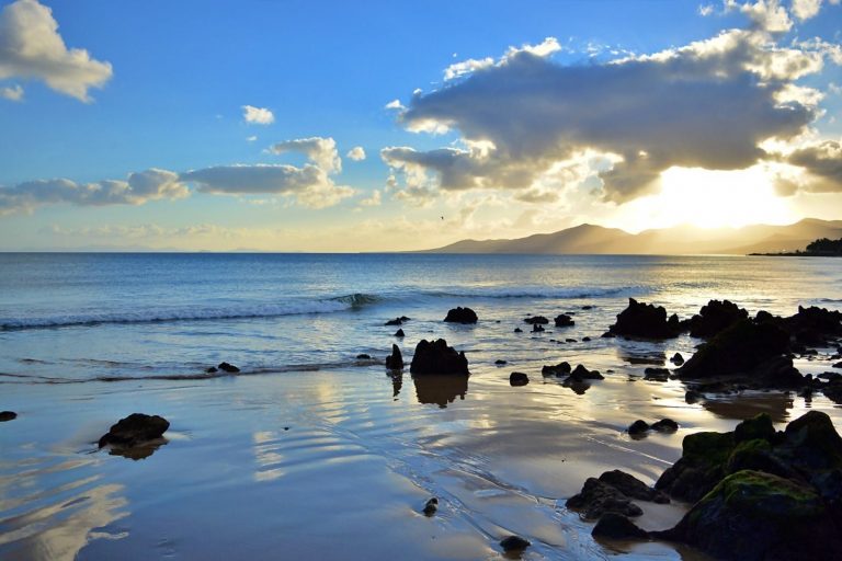 4329083f-63b6-4a45-b6aa-463a670ae6fa