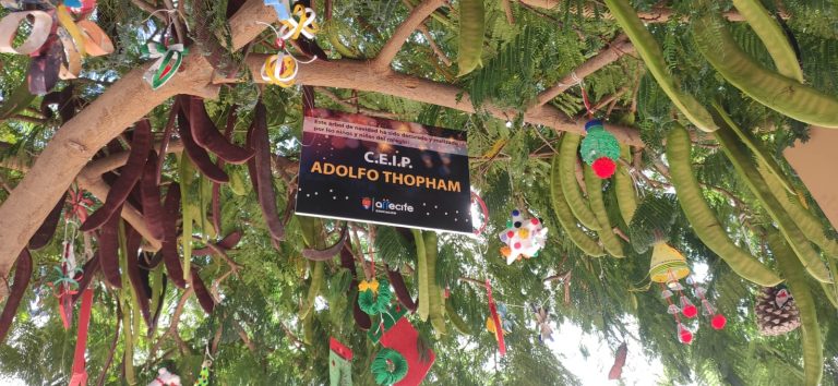 Arboles-decorados-por-los-escolares-de-Arrecife-6