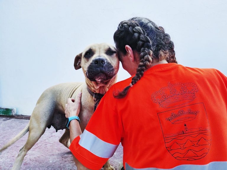 WhatsApp-Image-2023-12-20-at-12.05