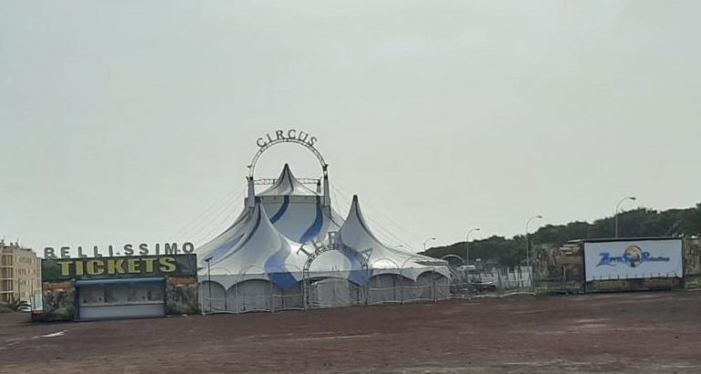 Circo