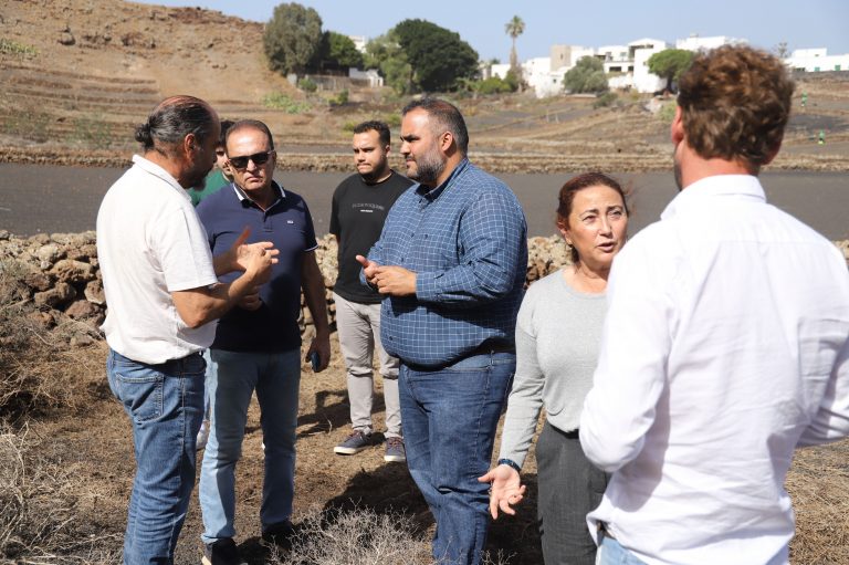 LIMPIEZA-FINCAS-DE-GUIGUA-17