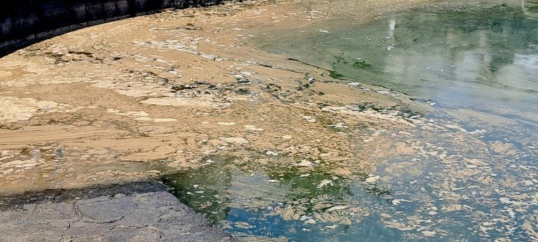 432368546_10223617426445615_5563048911263844660_n-2