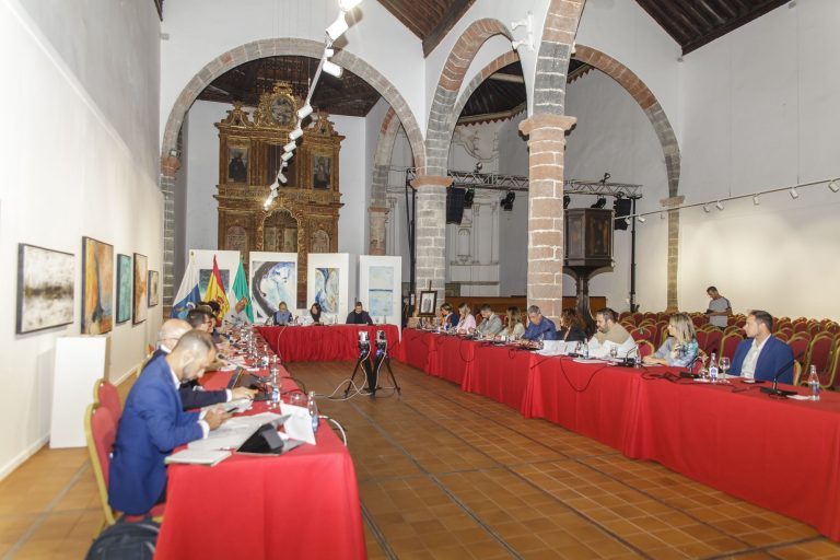 Fotos-Pleno-Teguise-8_4_2024-web-2