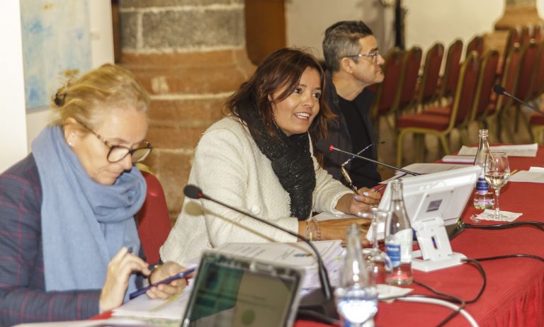 Fotos-Pleno-Teguise-8_4_2024-web-8-1