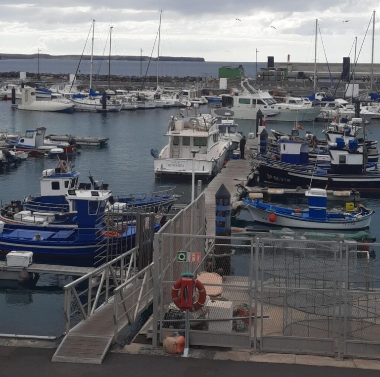 Sector-pesquero-Playa-Blanca