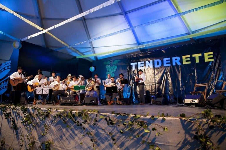 Día de Canarias Teguise (2)