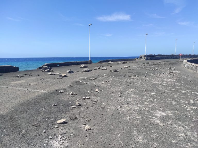 WhatsApp-Image-2024-05-06-at-13.38