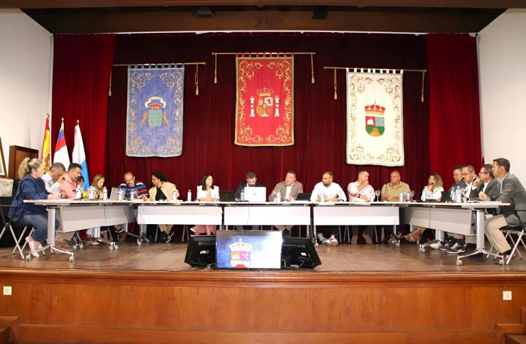 sesion-plenaria-de-este-29-de-abril-en-Yaiza-