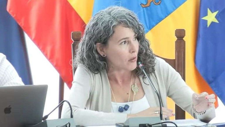 Ariagona González - Pleno 2024-05-28 17