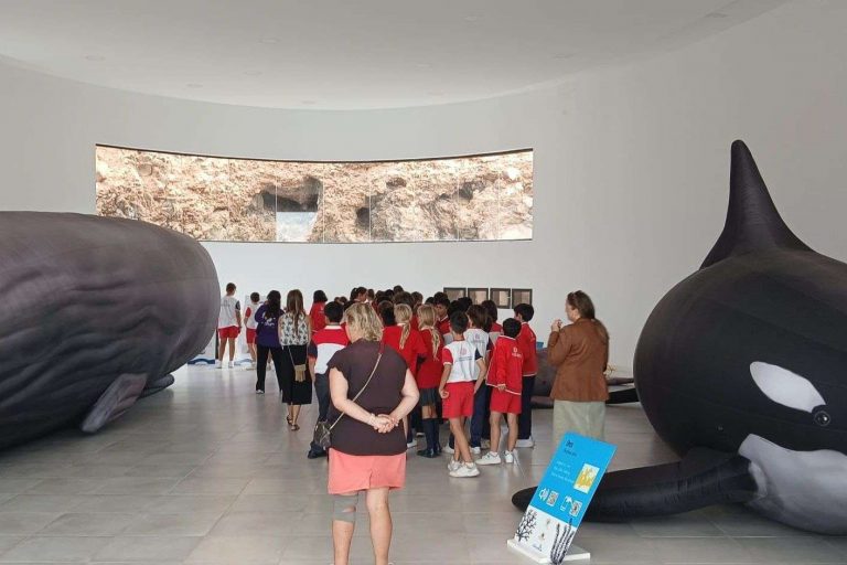 Exposición Cetáceos (1)