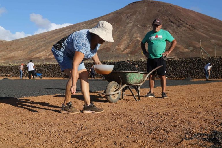 Canteros de Cebollinos en Granja Agricola del Cabildo de Lanzarote