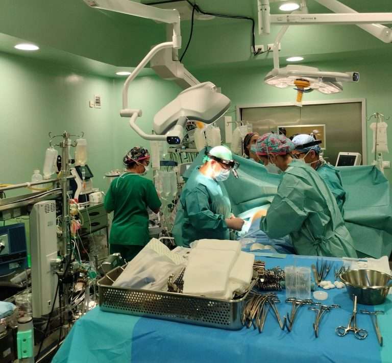 Imagen de uno de los trasplantes