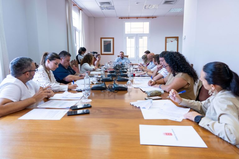 Mesa Insular de Medio Ambiente (1)