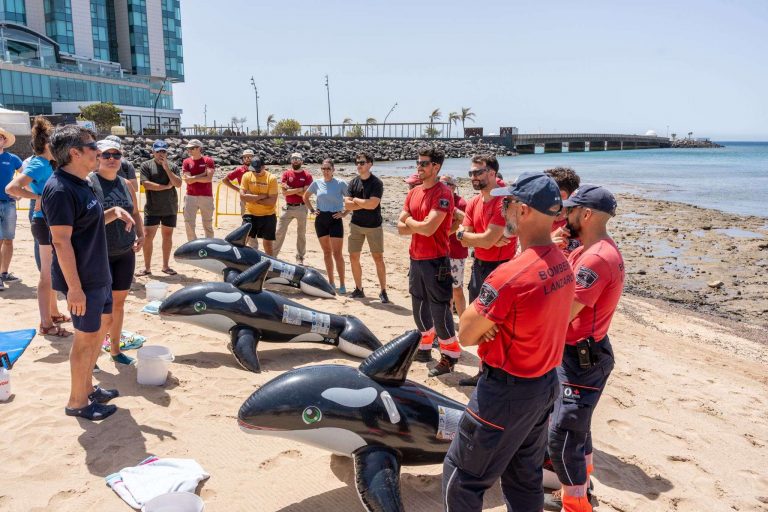 Simulacro Varamiento de Cetáceos (3)