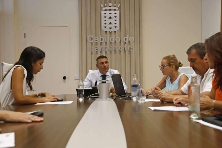 CONSEJO DE GOBIERNO INSULAR (2)