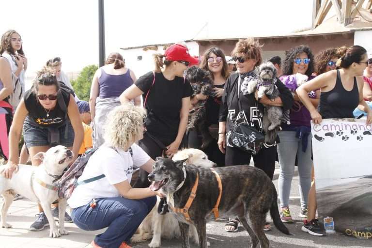 Caminata-de-animales-2