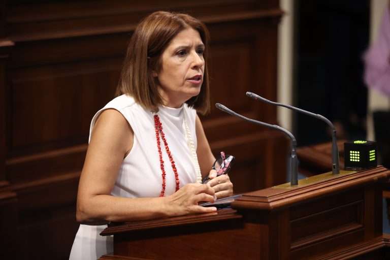 Carmen Herna?ndez en una intervencio?n parlamentaria