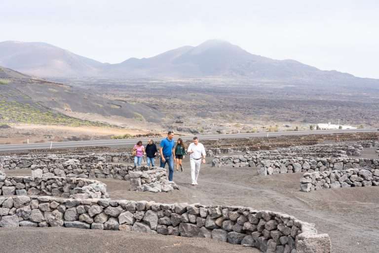 Visita Recuperación Finca Bodegas La Geria (3)