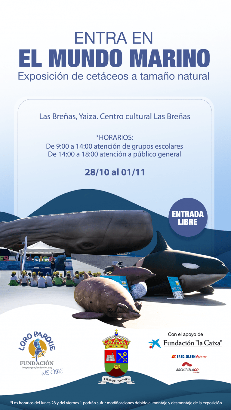 Yaiza Expo Cetáceos en Las Breñas