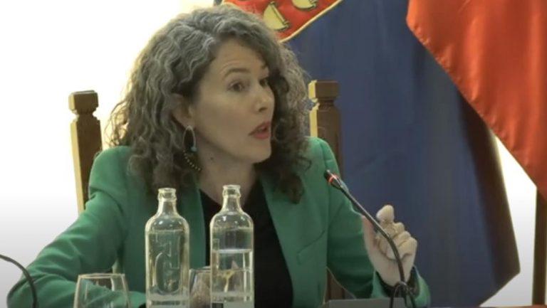 Ariagona González - Pleno del Cabildo 2024-02-09