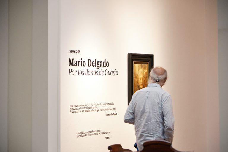 Exposición Mario Delgado