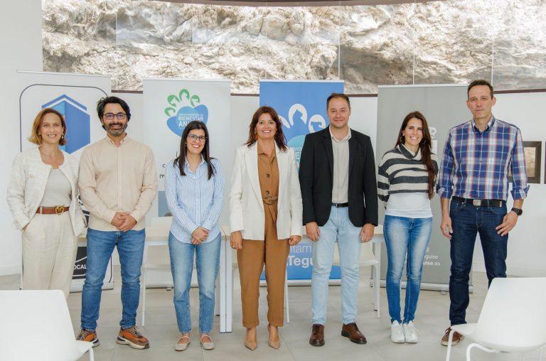 Control colonias felinas