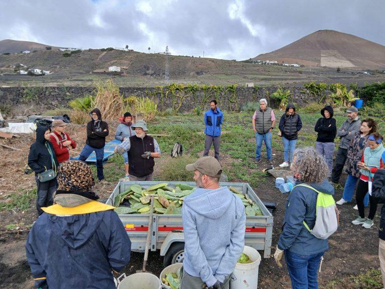 Taller de compostaje