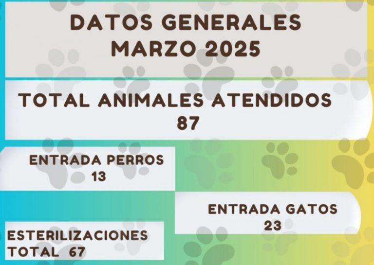 Total animales atendidos. Imagen: SARA Protectora