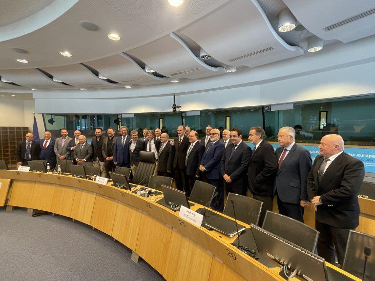 Asamblea General de INSULEUR