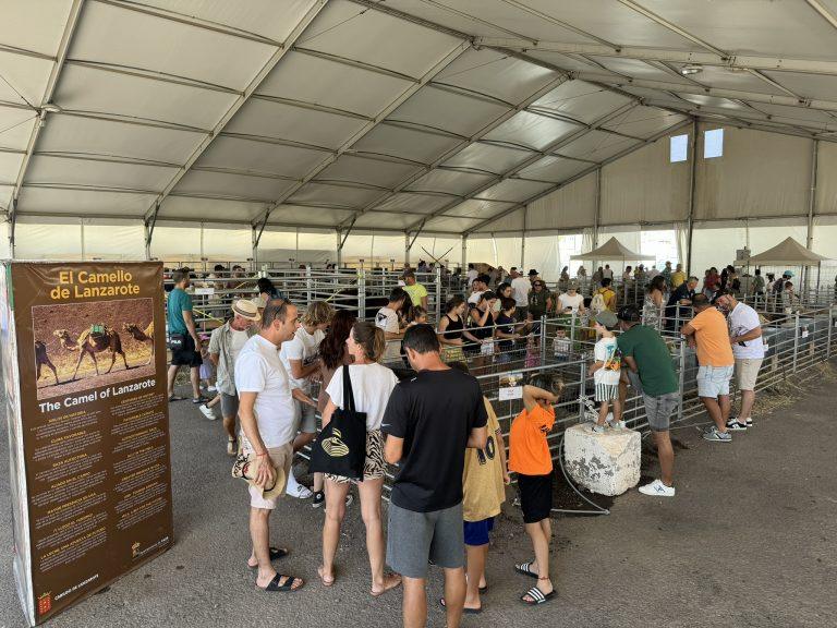 Feria de Ganado de Uga