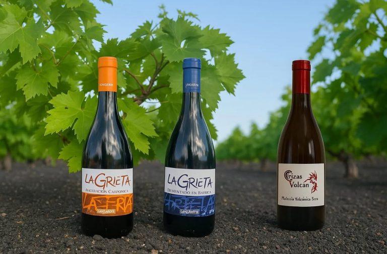 Vinos galardonados en CINVE 2025