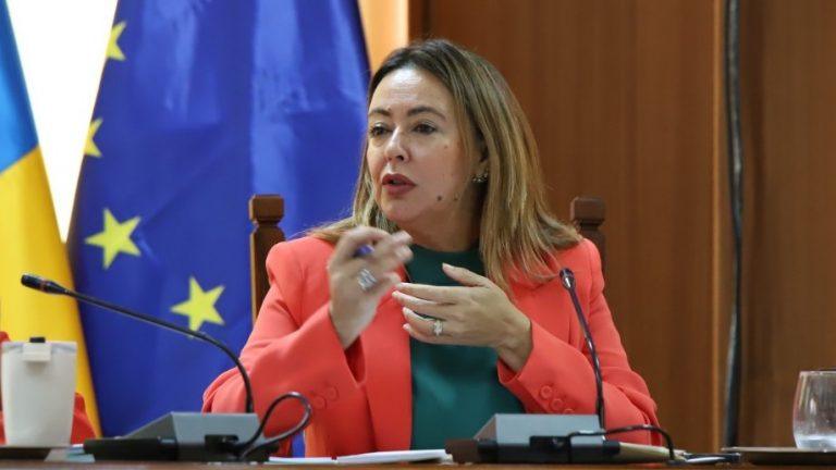 Loli Corujo - Pleno del Cabildo de Lanzarote