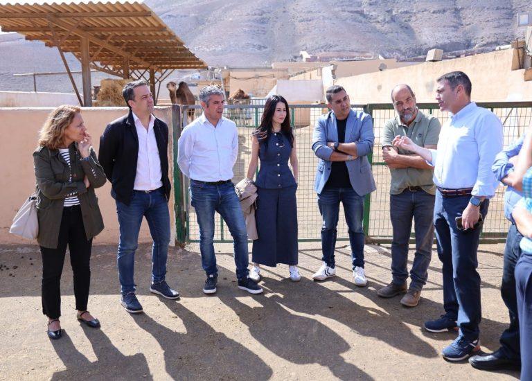 Visita Comisión de Ganadería GobCan actividad camellar Uga