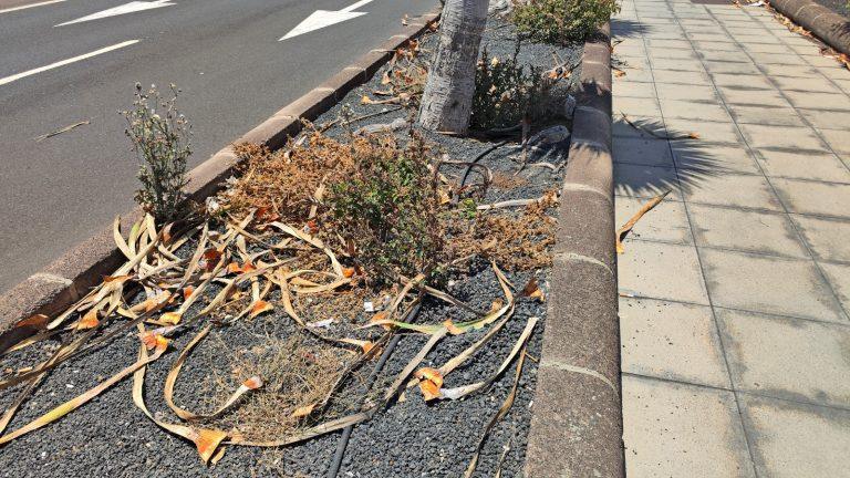 Moción CC Aeropuerto (3)