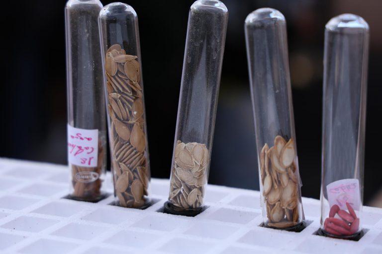 JORNADAS GRANJA AGRÍCOLA, VISITA ESTUDIANTES (30)