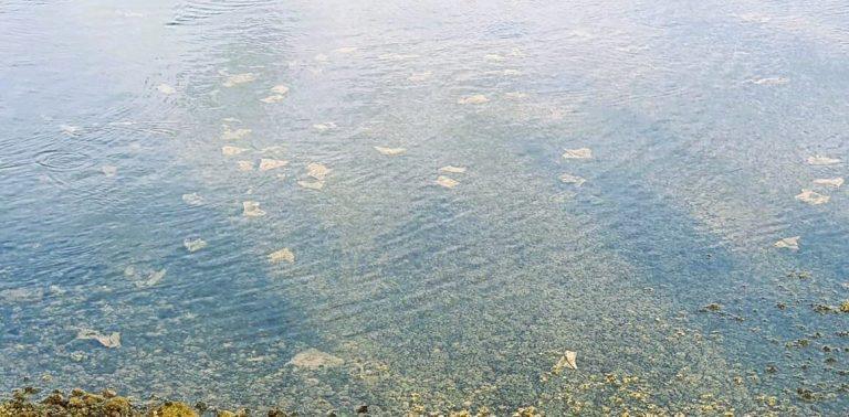 816b714f-f2f2-401d-8fce-6aed941223f6