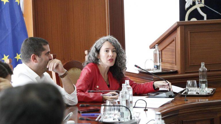 Ariagona González y Benjamín Perdomo en el Pleno (1)