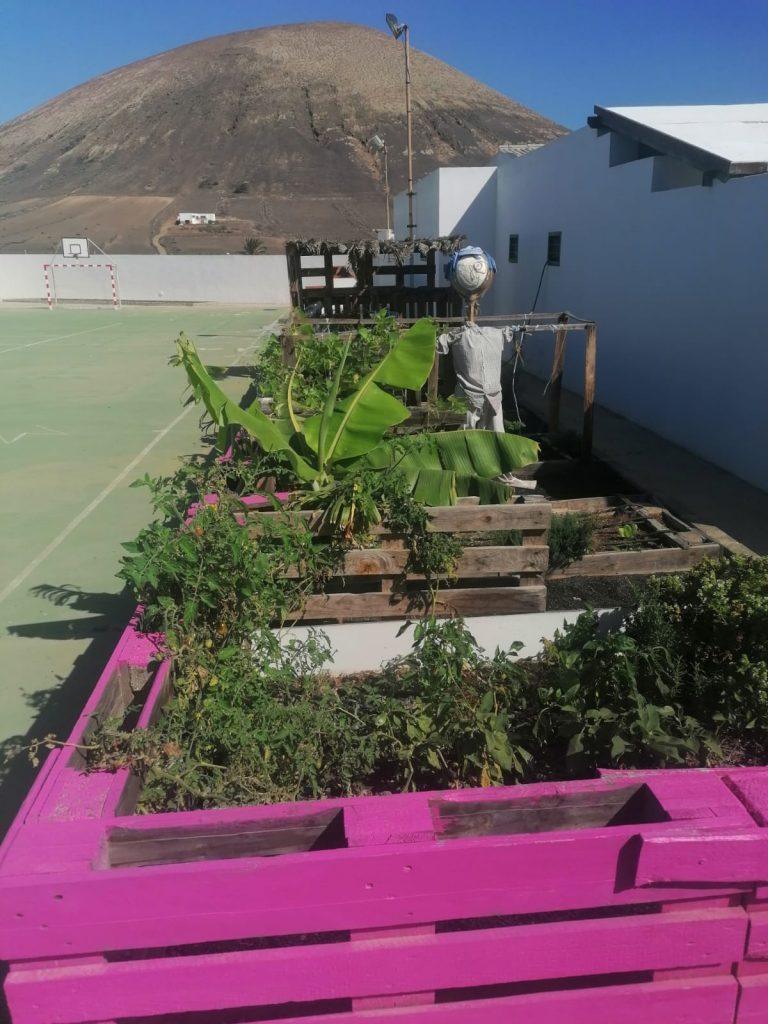 Huertos Colegios de la Biosfera (3)