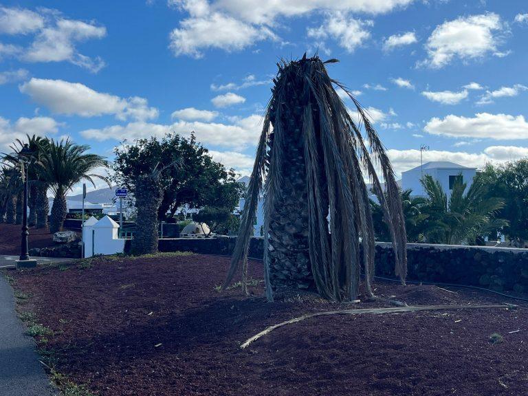 Imagen de WhatsApp 2025-11-11 a las 11.37