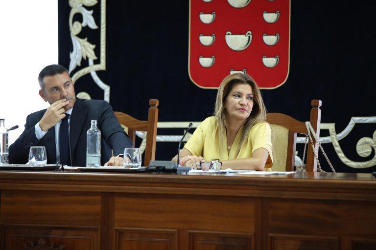 Imagen del Pleno Ordinario de Julio