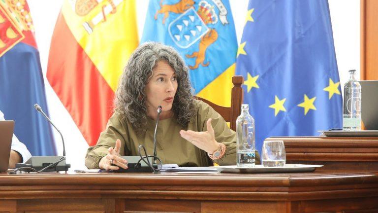 Ariagona González - pleno de 2024-11-28