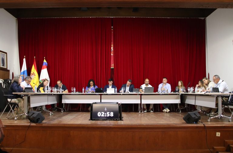 Imagen del Pleno del Ayuntamiento de Yaiza