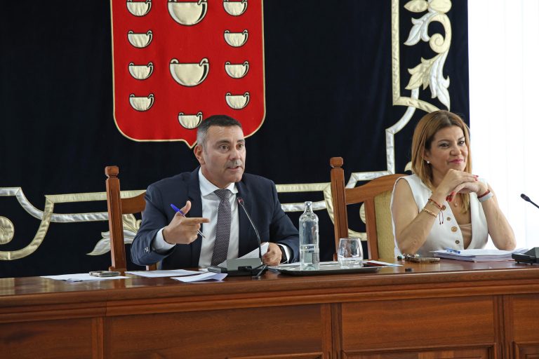 PLENO CABILDO DE LANZAROTE (43)