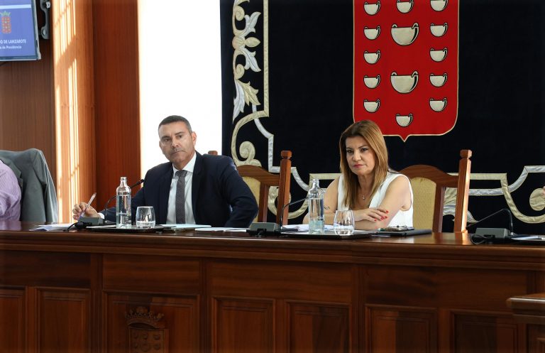PLENO CABILDO DE LANZAROTE (8)