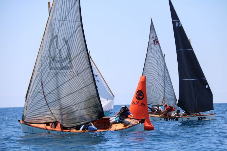 Regata1
