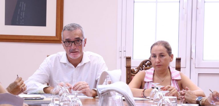 Mesa Insular de Acción Social y Mayores (2)