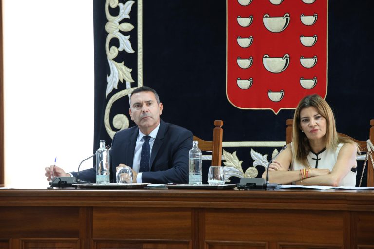 PLENO CABILDO DE LANZAROTE (14)